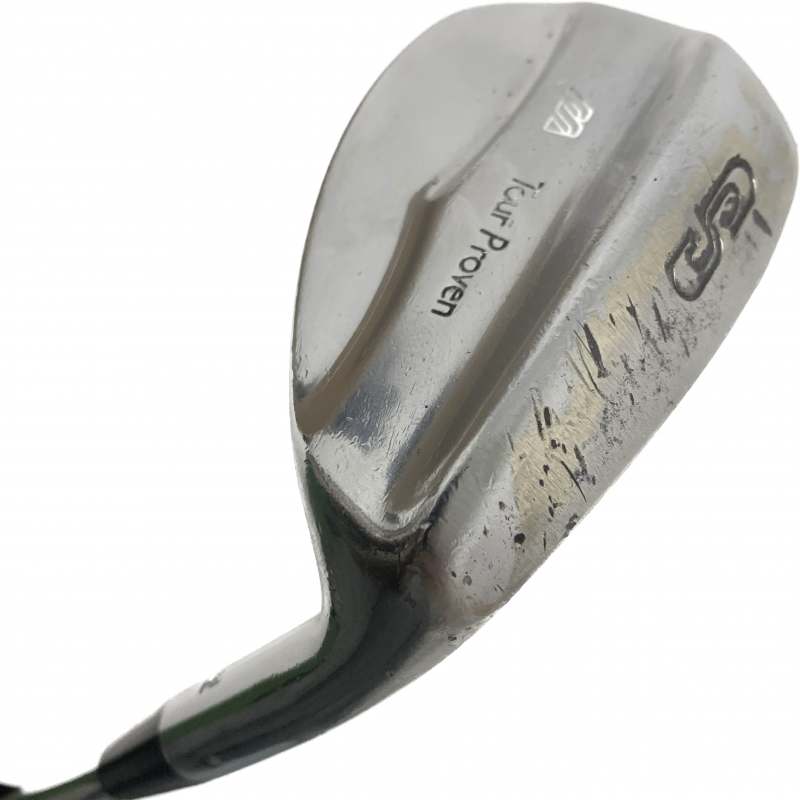 Mizuno Tour Proven SW - Dynamic Gold 105 R400 Regular Flex Shaft